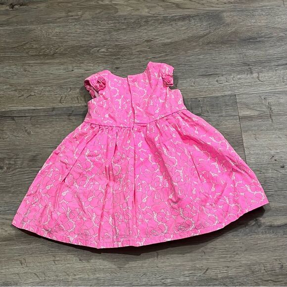 Carter’s Baby Girl Special Occasion Pink Summer Party Dress Size 6M - Picture 2 of 7